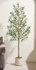 Primrue 6ft Artificial Olive Tree in Modern White Pot - Faux Potted Plant with Realistic Fruits & Dense Foliage for Scandi-Minimalist Home, Office & Apartment Decor New In Box $299
