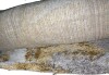 Safavieh Horizon Shag HZN890 Power Loomed Indoor Area Rug - Grey/Gold - 8'x10' $499 - 2