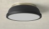 Birch Lane&trade; Calico Steel Flush Mount New In Box $299
