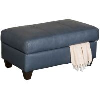 Lane Home Furnishings 2029 Soft Touch Leather Shale Storage Ottoman Brand New $599