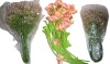 Primrue Baby's Breath Artificial Fake Flowers Bouquet Gypsophila Bulk Flowers / Assorted New Assorted - 2