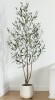 Primrue 7 ft. Adcock Artificial Olive Tree with Round Planter New in Box $299