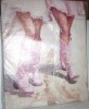 Beachcrest Home&trade; Coastal Cowgirls Stepping Canvas Wall Art by LSR Design Studio, 20" x 30" New In Box $199 - 2
