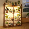 Arlmont & Co. 4-Tier Wood Plant Stand with Grow Lights for Indoor/Outdoor Use New In Box $99