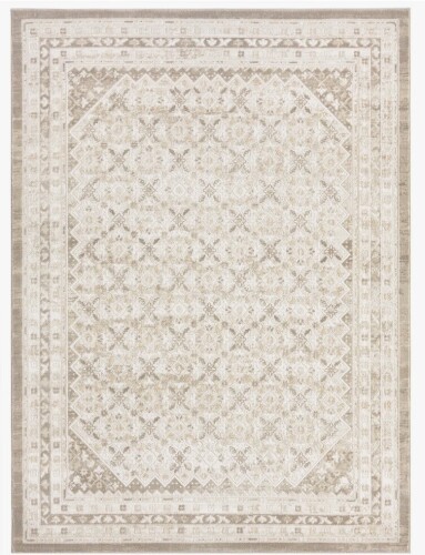 Bungalow Rose NICOLE MILLER NEW YORK 6'6"x9'2" Mirella Distressed Border Indoor Area Rug, Ivory/Beige New $499