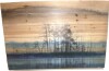 Steelside&trade; "Tree Isle Reflects" by Parvez Taj Canvas, 24" x 36" New In Box $299 - 2