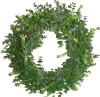 Charlton Home&reg; Faux Eucalyptus 18'' Wreath New In Box $99 - 2