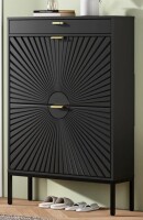 Latitude Run Modern Minimalist Style Large Capacity Shoe Cabinet in Box $399