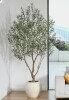 Adcock 8ft Artificial Olive Tree with 18in White Planter, Tall Faux Olive Trees for Indoor New in Box $499