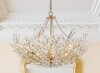 Rosdorf Park 6 - Light Floral Basket Crystal Chandelier New in Box $1199