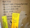 Nearly Natural 48" H Foliage Plant in Ceramic Planter New In Box $299 - 2