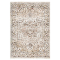 Alcott Hill&reg; 8' x 10' Soft Oriental Vintage Washable Distressed Area Rug - Beige $299
