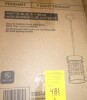 Westinghouse Indoor Pendant 1 Light - Barnwood Matt Black Accents - Cage Shade - Langston Collection New in Box $199 - 2