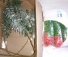 Nearly Natural 40-in Artificial Eucalyptus Stems - Set of 3 / Ophelia & Co. Artificial Flowers For Outdoors Fake Plants, 12 Bundles Faux Fuchsia Morning Glory UV Resistant Look Real Silk Flowers For Outside Planter Front Door Porch Patio Yard Fall Autumn - 3