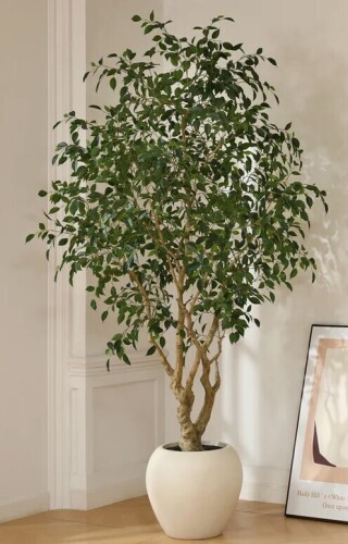 Primrue Adcock 8' H Artificial Ficus Tree in 18" White Planter New In Box $499
