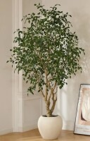 Primrue Adcock 8' H Artificial Ficus Tree in 18" White Planter New In Box $499