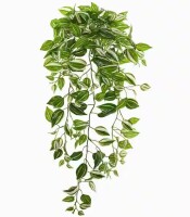 Nearly NaturalIndoor 32 Purple Heart Evergreen Hanging Artificial Plant (Set of 2) / August Grove&reg; 2 Pack 24 Inch Farmhouse Artificial Olive Branch Tear Drop Wreaths, Faux Greenery Swag with Burlap Bow for Front Door, Porch Railings, and Indoor Wall Decor