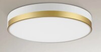 Wrought Studio&trade; Hopeland Acrylic LED Flush Mount New In Box $299