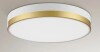 Wrought Studio&trade; Hopeland Acrylic LED Flush Mount New In Box $299