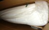 Latitude Run&reg; Nikodemos 39.37" Corduroy Ottoman New In Box $399 - 2