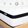 Molbius 10" Queen Size Hybrid Medium Firm Memory Foam Mattress with Individual Pocket Springs, Fiberglass Free Bed, Breathable, CertiPUR-US, New in Box $799