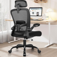 FelixKing Office Chair, Desk Chair with Adjustable Lumbar Support, Ergonomic Computer Chair with High Back and Armrest, Adjustable Height Gaming Chair Home Office Swivel Chair (Black) New Open Box $299