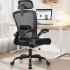 FelixKing Office Chair, Desk Chair with Adjustable Lumbar Support, Ergonomic Computer Chair with High Back and Armrest, Adjustable Height Gaming Chair Home Office Swivel Chair (Black) New Open Box $299