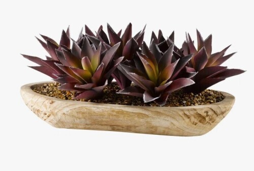 Williston Forge 12'' Faux Aloe Succulent in Solid Wood Planter New In Box $299