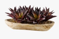 Williston Forge 12'' Faux Aloe Succulent in Solid Wood Planter New In Box $299