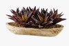 Williston Forge 12'' Faux Aloe Succulent in Solid Wood Planter New In Box $299