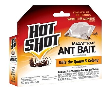Hot Shot Maxattrax 0.28 Oz. Solid Ant Bait Station (4-pack) New