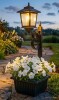 Charlton Home&reg; 2-in-1 Outdoor Flower Pot with Solar Lamp Post Light, Wall Mount or Freestanding New Open Box $99