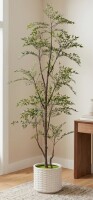 Latitude Run&reg; 7ft Faux Nandina Tree in White Planter, Tall Artificial Shady Lady Tree with Realistic Branches for Living Room, Office & Entryway Decor New In Box $299