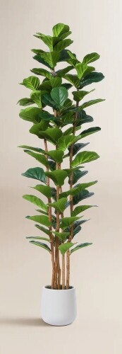AllModern Adarna 7ft. Artificial Fiddle Leaf Fig Tree with Realistic Leaves and Natural Trunk, Potted Tree New In Box $299