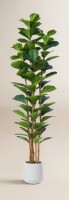 AllModern Adarna 7ft. Artificial Fiddle Leaf Fig Tree with Realistic Leaves and Natural Trunk, Potted Tree New In Box $299
