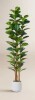 AllModern Adarna 7ft. Artificial Fiddle Leaf Fig Tree with Realistic Leaves and Natural Trunk, Potted Tree New In Box $299