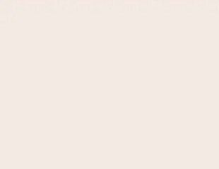 Savage Widetone Seamless Background Paper - #51 Bone - 107" x 12yd New In Box $199