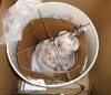 Everly Quinn Shea Illuminate Your Space with Elegance: Alabaster Table Lamp New In Box $499 - 2