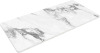 FLEXISPOT 48"x30" Whole Piece Desk Top, 1" Thick Tabletop, Marble Grey | Whole Piece, 1" Thickness, For Standing Desk, Office Table, Workbench, DIY Furniture Projects New In Box $299