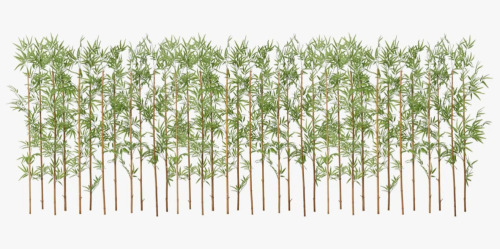Primrue Adcock 6ft Artificial Bamboo Tree, 36 Pack Privacy Fence Decor - Real Bamboo Pole with UV Resistant Leaves New In Box $299
