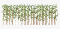 Primrue Adcock 6ft Artificial Bamboo Tree, 36 Pack Privacy Fence Decor - Real Bamboo Pole with UV Resistant Leaves New In Box $299