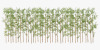 Primrue Adcock 6ft Artificial Bamboo Tree, 36 Pack Privacy Fence Decor - Real Bamboo Pole with UV Resistant Leaves New In Box $299