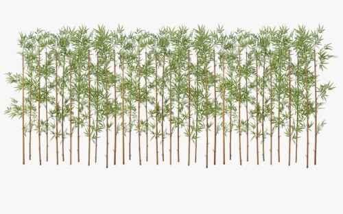Primrue Adcock 6ft Artificial Bamboo Tree, 36 Pack Privacy Fence Decor - Real Bamboo Pole with UV Resistant Leaves New In Box $299