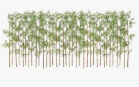 Primrue Adcock 6ft Artificial Bamboo Tree, 36 Pack Privacy Fence Decor - Real Bamboo Pole with UV Resistant Leaves New In Box $299
