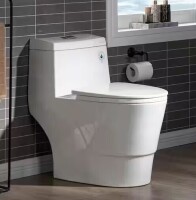 WOODBRIDGE 1-Piece 1.28 GPF Dual Flush Elongated Toilet in White with Chrome Button New In Box $499