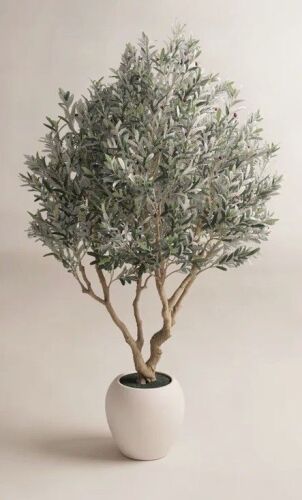 Birch Lane&trade; 8 ft. Ashwell Artificial Olive Tree with White Pot New In Box $299