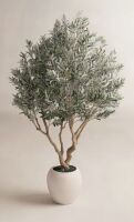 Birch Lane&trade; 8 ft. Ashwell Artificial Olive Tree with White Pot New In Box $299