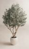 Birch Lane&trade; 8 ft. Ashwell Artificial Olive Tree with White Pot New In Box $299
