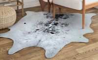 Union Rustic Richburg Indoor Rug, 3'10" x 5'1" New In Box $199