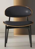 Latitude Run Cathelijn Dining Chair in Box $299
